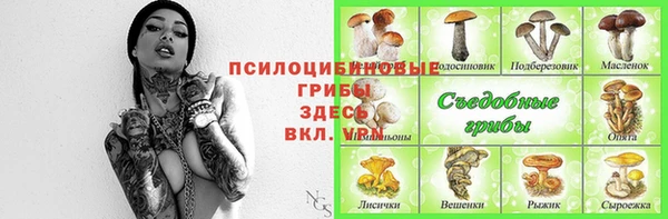 гидра Протвино