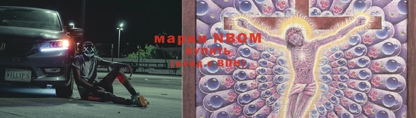 индика Приозерск