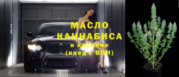 индика Пролетарск