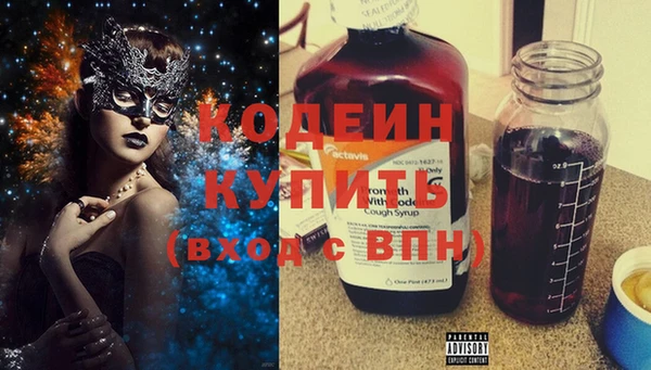 индика Приозерск