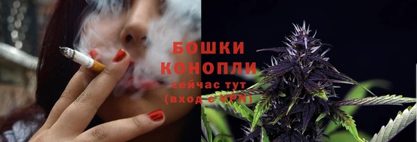 индика Приозерск