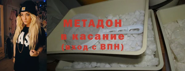 индика Приозерск