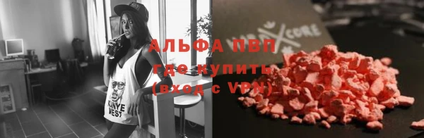 индика Приозерск