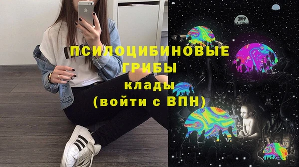 индика Пролетарск