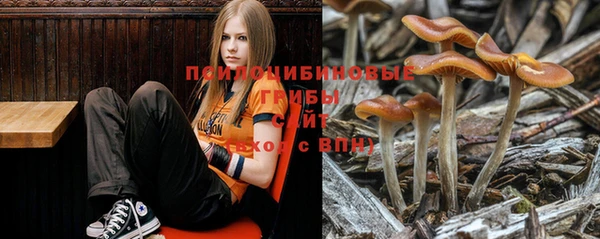 индика Приозерск