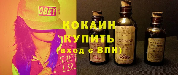индика Приозерск
