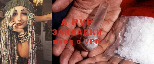 индика Приозерск