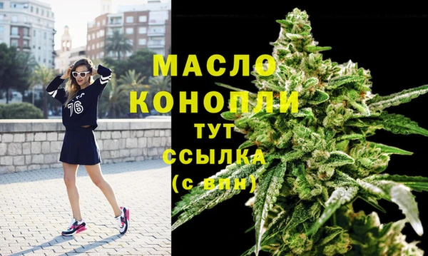 гидра Протвино