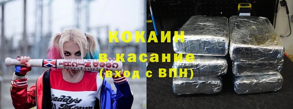 индика Приозерск
