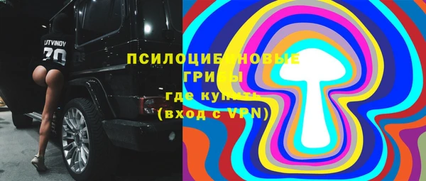 гидра Протвино