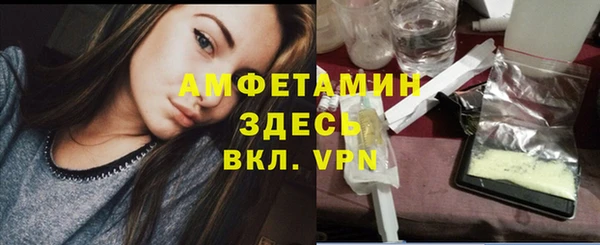индика Пролетарск