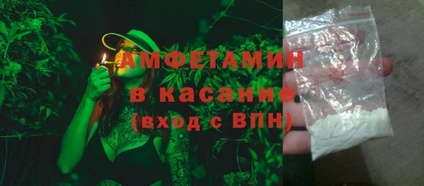 индика Приозерск