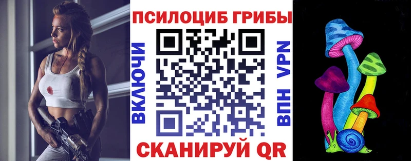 omg ссылка  Шатура  Галлюциногенные грибы Cubensis 